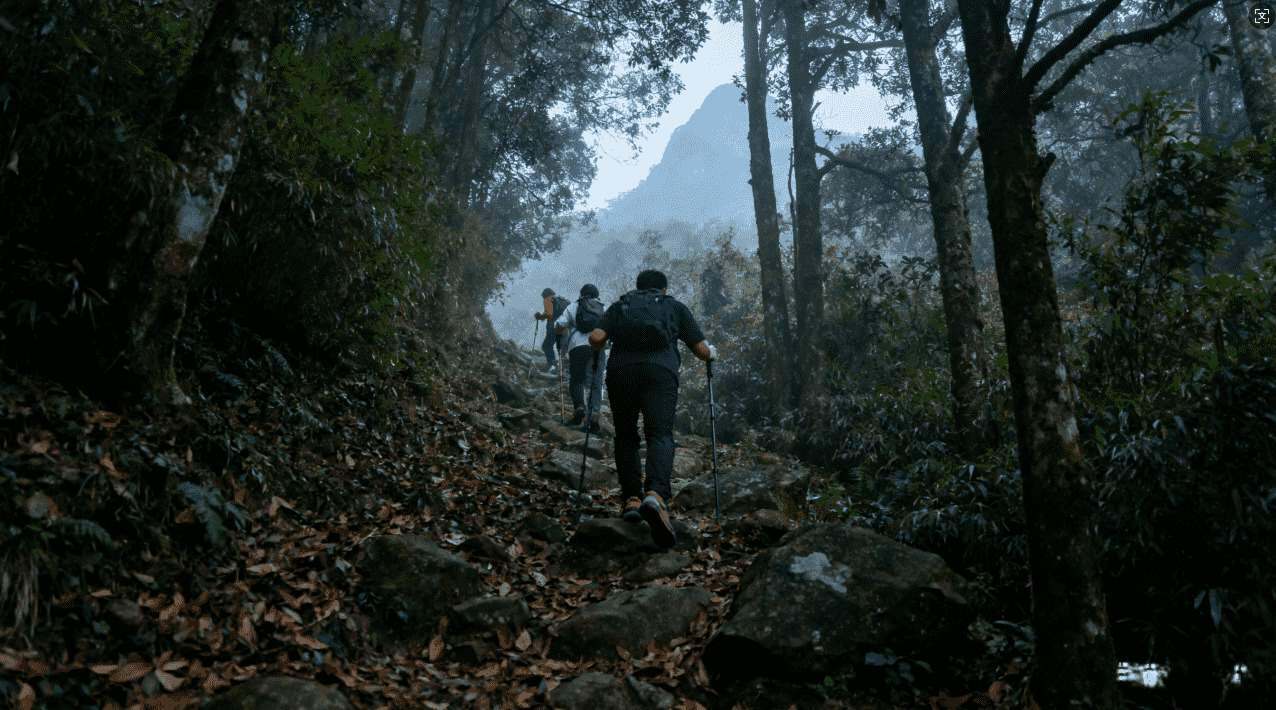 推特下载过程中开启加速器的详细操作指南